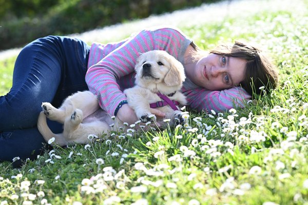 Quels sont les derniers faits marquants de la faune mondiale ?